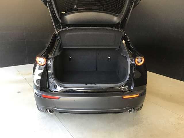 ＣＸ－３０ ２．０　２０Ｓ　Ｌパッケージ　ナビ　ＥＴＣ　前後ドラレコ　全方位モニター　アイストップ　ブレーキサポート　電動Ｒゲート　ＰＷシート　ＡＢＳ　アルミ　横滑り防止機能　ＭＲＣＣ　ＡＴハイビーム　シートヒータ　キーレス　エアバッグ（12枚目）