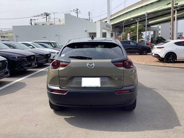 ���A�r���[�ł��B��납�猩�Ă��ڂ������܂��B