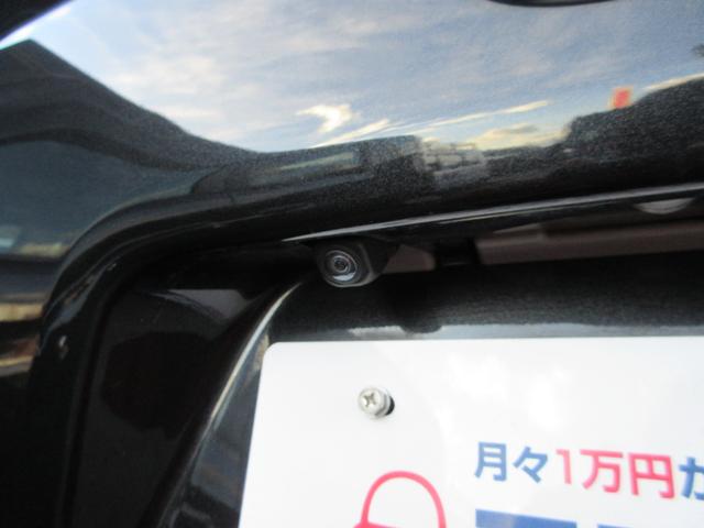 �o�b�N�J���������Ă���̂Œ��Ԃ����S�ł��B