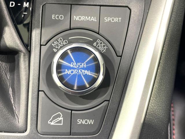 RAV4 アドベンチャー オフロードパッケージ 純正9型ディスプレイ バックカメラ 禁煙車 セーフティセンス レーダークルーズ ブラインドスポットモニター 合皮シート パワーシート ルーフレール ドラレコ フルセグ Bluetooth再生 ETC(39枚目)