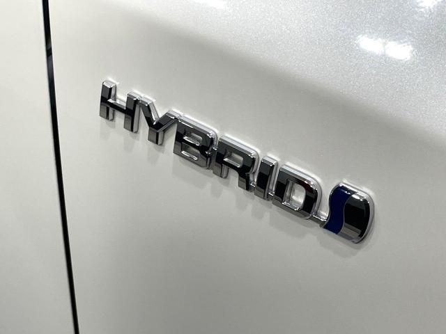 プリウスアルファ Ｓ　純正８型ナビ　バックカメラ　禁煙車　ＬＥＤヘッド／フォグ　フルセグ　Ｂｌｕｅｔｏｏｔｈ再生　ＥＴＣ　スマートキー　純正１６インチＡＷ　オートライト／エアコン　電動格納ミラー　盗難防止システム（64枚目）