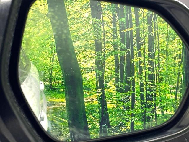 カローラツーリング ハイブリッド　ダブルバイビー　モデリスタエアロ　純正９型ディスプレイ　バックカメラ　禁煙車　セーフティセンス　レーダークルーズ　ＬＥＤヘッド／フォグ　ハーフレザー　ドラレコ　Ｂｌｕｅｔｏｏｔｈ再生　ＥＴＣ　スマートキー（35枚目）