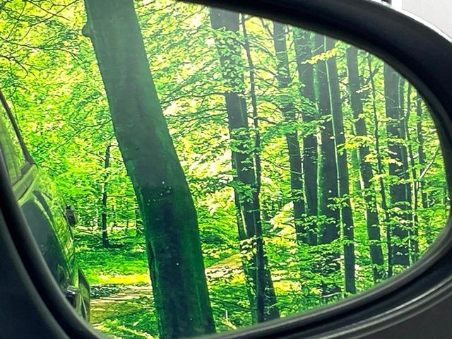 アクア Ｇ　禁煙車　純正ナビ　バックカメラ　ＥＴＣ　フルセグ　Ｂｌｕｅｔｏｏｔｈ接続　ドラレコ　スマートキー　ＬＥＤヘッド　革巻きステアリング　オートエアコン　ＣＤ／ＤＶＤ再生　盗難防止装置　オートライト（50枚目）