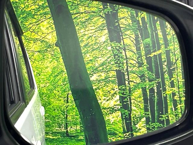 デイズ ハイウェイスター　Ｘ　純正ナビ　全周囲カメラ　禁煙車　衝突軽減装置　踏み間違い防止装置　ＨＩＤヘッド　ハイビームアシスト　オートライト／エアコン　フルセグ　Ｂｌｕｅｔｏｏｔｈ再生　スマートキー　アイドリングストップ（32枚目）