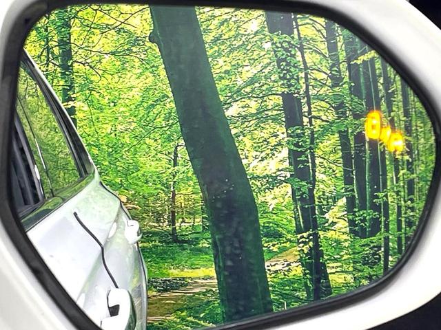 �y�u���C���h�X�|�b�g���j�^�[�z���s���A�h�A�~���[�̎��p�ɂȂ�₷���ӏ��Ɍ㑱�Ԃ��ڋ߂���ƃT�C�h�~���[�̃����Y�Ɍx����\���I�h���C�o�[�ɒ��ӊ��N�����Ă���܂��B