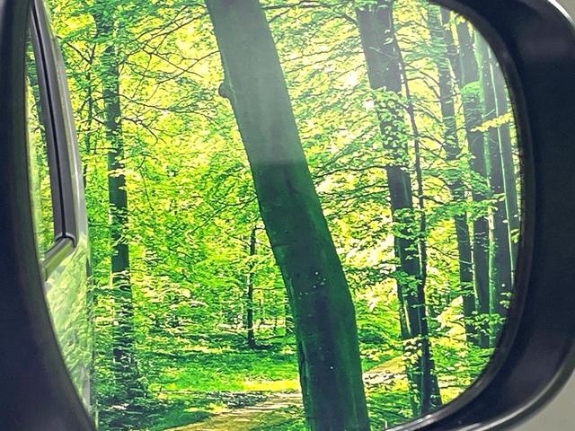 スペーシア ハイブリッドＸ　届出済未使用車　両側電動ドア　セーフティサポート　踏み間違い防止装置　シートヒーター　ＬＥＤヘッド　車線逸脱警報　オートハイビーム　アイドリングストップ　スマートキー　横滑り防止装置（47枚目）