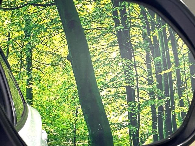 プリウス Ｓ　禁煙車　ナビ　セーフティセンス　バックカメラ　レーダークルーズ　ＥＴＣ　ドラレコ　ＬＥＤヘッド　オートハイビーム　オートライト　オートエアコン　スマートキー　純正１５インチＡＷ　ＣＤ再生　地デジ（51枚目）