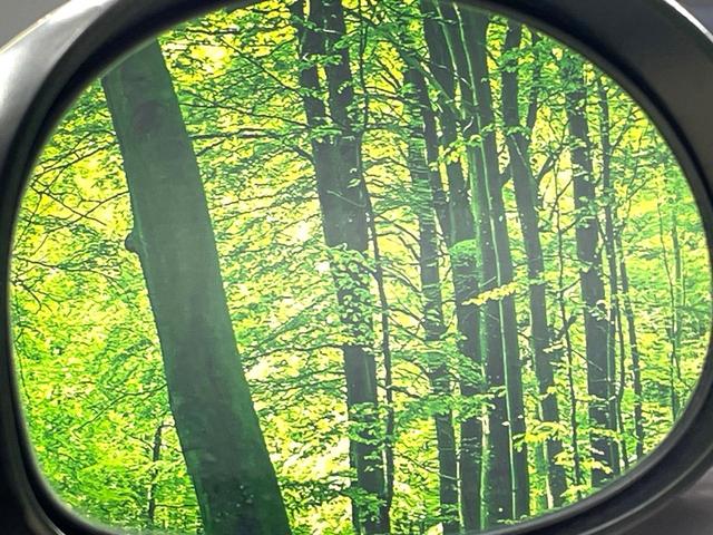 アルトラパン Ｌ　禁煙車　レーダーブレーキサポート　シートヒーター　スマートキー　ＣＤ再生　電動格納ミラー　アイドリングストップ　ドアバイザー（47枚目）