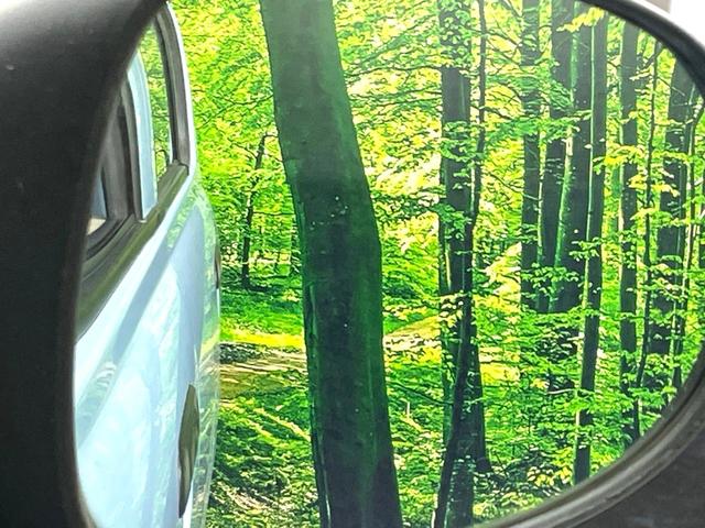 アルト Ｆ　禁煙車　オーディオ　キーレス　盗難防止装置（30枚目）