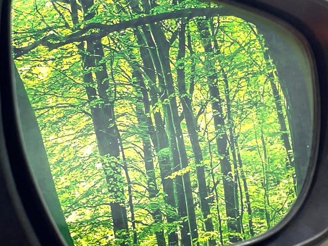 ハスラー Ｘ　純正ナビ　バックカメラ　禁煙車　衝突軽減装置　シートヒーター　ＨＩＤヘッド　ドラレコ　フルセグ　Ｂｌｕｅｔｏｏｔｈ再生　スマートキー　アイドリングストップ　純正革巻きハンドル　純正１５インチアルミ（31枚目）