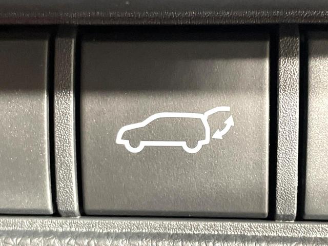 ランドクルーザー２５０ ＶＸ　サンルーフ　純正１２．３型ディスプレイ　全周囲カメラ　禁煙車　丸目ＬＥＤヘッド　セーフティセンス　レーダークルーズ　ブラインドスポットモニター　デジタルインナーミラー　ドラレコ　フルセグ　ＥＴＣ（49枚目）