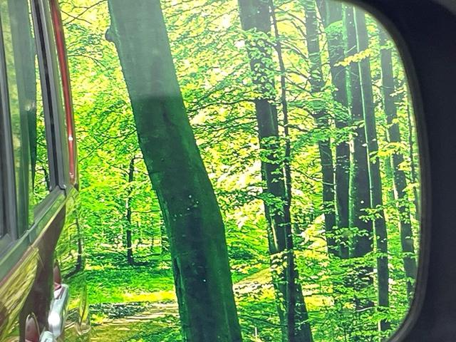 タント カスタムＸ　ＳＡＩＩ　禁煙車　ＳＤナビ　パワースライドドア　衝突軽減装置　踏み間違い防止装置　ＬＥＤヘッド　ＥＴＣ　オートエアコン　アイドリングストップ　スマートキー　純正１４インチアルミ　横滑り防止装置　盗難防止システム（31枚目）