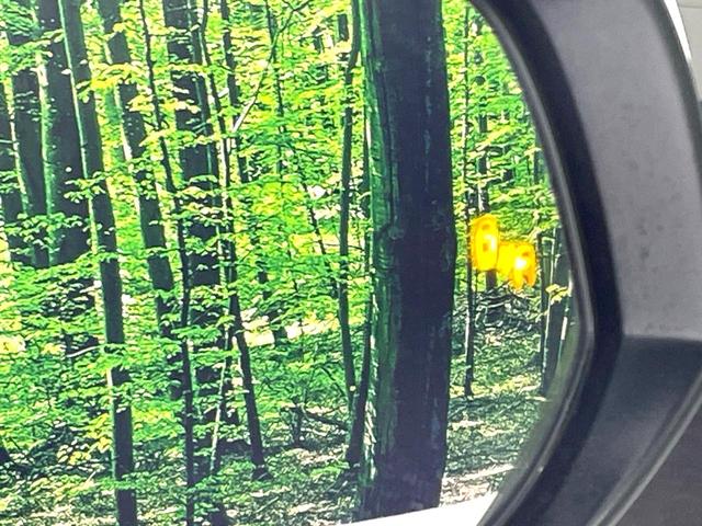 アルファード ２．５Ｓ　Ｃパッケージ　サンルーフ　純正９型ディスプレイ　後席モニター　両側電動ドア　衝突軽減装置　レーダークルーズ　デジタルインナーミラー　ブラインドスポットモニター　電動リアゲート　３眼ＬＥＤヘッド　ドラレコ　ＥＴＣ（8枚目）