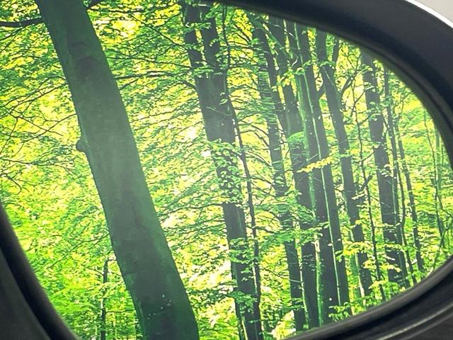 アクア Ｓ　純正ナビ　禁煙車　ドラレコ　フルセグ　Ｂｌｕｅｔｏｏｔｈ再生　ＥＴＣ　スマートキー　シートヒーター　オートエアコン／ライト　電動格納ミラー　横滑り防止装置　プライバシーガラス（30枚目）