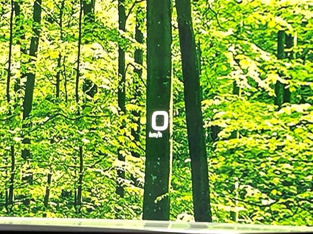 プリウス Sセーフティプラス 純正ナビ バックカメラ 禁煙車 セーフティセンス レーダークルーズ パーキングアシスト LEDヘッド/フォグ ドラレコ フルセグ Bluetooth再生 ETC スマートキー ヘッドアップディスプレイ(34枚目)