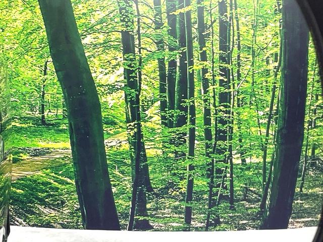 ヴォクシー ＺＳ　煌ＩＩ　純正ナビ　バックカメラ　後席モニター　禁煙車　両側電動ドア　ＨＩＤヘッド　スマートキー　ドラレコ　Ｂｌｕｅｔｏｏｔｈ再生　ＥＴＣ　オートライト／エアコン　純正１６インチアルミ　フォグライト（50枚目）