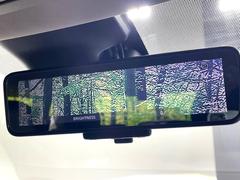 �ڥ���ƥꥸ����ȥ롼��ߥ顼�۸��ʤ��礭�ʲ�ʪ��Ʊ��ԤǸ�������ǧ���Ť餤���Ǥ�¿�������餬���Ƥ�����ξ�����α�����롼��ߥ顼���ɽ�������ꥢ�ʻ볦�Ǿ����γ�ǧ����ǽ�Ǥ��� 5