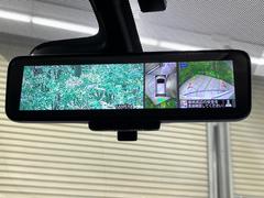 �ڥ���ƥꥸ����ȥ롼��ߥ顼�۸��ʤ��礭�ʲ�ʪ��Ʊ��ԤǸ�������ǧ���Ť餤���Ǥ�¿�������餬���Ƥ�����ξ�����α�����롼��ߥ顼���ɽ�������ꥢ�ʻ볦�Ǿ����γ�ǧ����ǽ�Ǥ��� 5