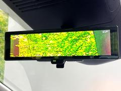 �ڥ���ƥꥸ����ȥ롼��ߥ顼�۸��ʤ��礭�ʲ�ʪ��Ʊ��ԤǸ�������ǧ���Ť餤���Ǥ�¿�������餬���Ƥ�����ξ�����α�����롼��ߥ顼���ɽ�������ꥢ�ʻ볦�Ǿ����γ�ǧ����ǽ�Ǥ��� 5