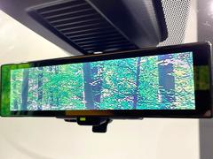 �ڥ���ƥꥸ����ȥ롼��ߥ顼�۸��ʤ��礭�ʲ�ʪ��Ʊ��ԤǸ�������ǧ���Ť餤���Ǥ�¿�������餬���Ƥ�����ξ�����α�����롼��ߥ顼���ɽ�������ꥢ�ʻ볦�Ǿ����γ�ǧ����ǽ�Ǥ��� 5