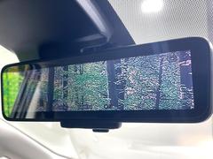 �ڥ���ƥꥸ����ȥ롼��ߥ顼�۸��ʤ��礭�ʲ�ʪ��Ʊ��ԤǸ�������ǧ���Ť餤���Ǥ�¿�������餬���Ƥ�����ξ�����α�����롼��ߥ顼���ɽ�������ꥢ�ʻ볦�Ǿ����γ�ǧ����ǽ�Ǥ��� 5