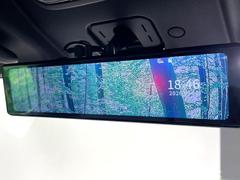 �ڥ��ɥХ󥹥ɥ롼��ߥ顼�۸��ʤ��礭�ʲ�ʪ��Ʊ��ԤǸ�������ǧ���Ť餤���Ǥ�¿�������餬���Ƥ�����ξ�����α�����롼��ߥ顼���ɽ�������ꥢ�ʻ볦�Ǿ����γ�ǧ����ǽ�Ǥ��� 5