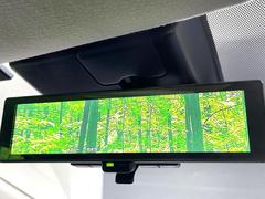 �ڥ���ƥꥸ����ȥ롼��ߥ顼�۸��ʤ��礭�ʲ�ʪ��Ʊ��ԤǸ�������ǧ���Ť餤���Ǥ�¿�������餬���Ƥ�����ξ�����α�����롼��ߥ顼���ɽ�������ꥢ�ʻ볦�Ǿ����γ�ǧ����ǽ�Ǥ��� 5