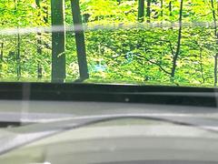 �ڥ��顼�إåɥ��åץǥ����ץ쥤�۸��ߤ�®�٤����Ծ����ǥ�����ɽ���Ǳ�ž�������Υ��饹����ơ����顼�դ��ǻ�ǧ����⤯����ž�������򤺤餵��ɬ�פʾ�����ǧ�Ǥ���ΤǤȤäƤ������ǰ¿��� 7