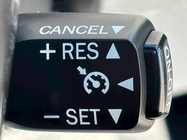 プリウスアルファ S チューン ブラック ALPINE9インチナビ/Bluetooth/フルセグTV/フリップダウンモニター/純正16インチAW/MODELLISTAエアロ/革巻ステアリング/クルーズコントロール/デジタルミラー+ドラレコ(20枚目)