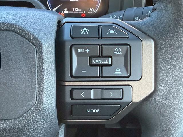 ランドクルーザー２５０ ＺＸ　ＭＯＤＥＬＬＩＳＴＡ／サンルーフ／オーバーフェンダー／フェンダー・バックドアガーニッシュ／リヤバンパーステップガード／リヤスポイラー／純正１２．３インチナビ／パノラマモニター／ＨＵＤ／ＢＳＭ（23枚目）