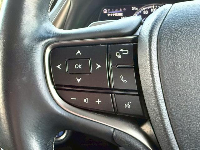 ＥＳ ＥＳ３００ｈ　バージョンＬ　マークレビンソン／サンルーフ／純正ドラレコ／黒革シート／ヘッドアップディスプレイ／純正１８インチＡＷ／メーカーナビ／Ｂｌｕｅｔｏｏｔｈ／フルセグＴＶ／パノラマモニター（26枚目）