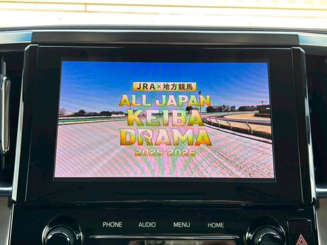 ヴェルファイア ２．５Ｚ　純正９インチディスプレイオーディオ／Ｂｌｕｅｔｏｏｔｈ／フルセグＴＶ／バックカメラ／フリップダウンモニター／両側電動スライド／ＥＴＣ／ＣＤ・ＤＶＤ／クルーズコントロール／１オーナー／純正１６インチＡＷ（15枚目）