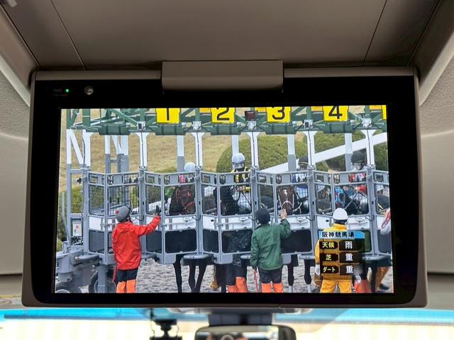 ヴェルファイア ２．５Ｚ　純正９インチディスプレイオーディオ／Ｂｌｕｅｔｏｏｔｈ／フルセグＴＶ／バックカメラ／フリップダウンモニター／両側電動スライド／ＥＴＣ／ＣＤ・ＤＶＤ／クルーズコントロール／１オーナー／純正１６インチＡＷ（17枚目）