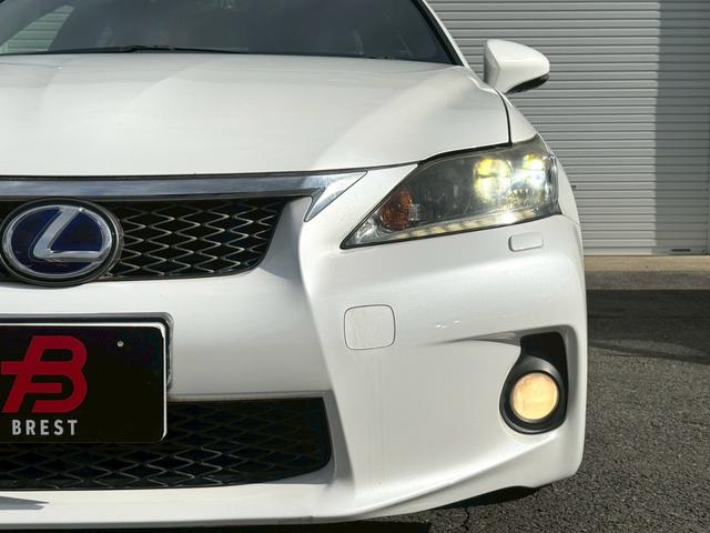 �[�Ԍ���C�����悭����蒸���܂��I�I