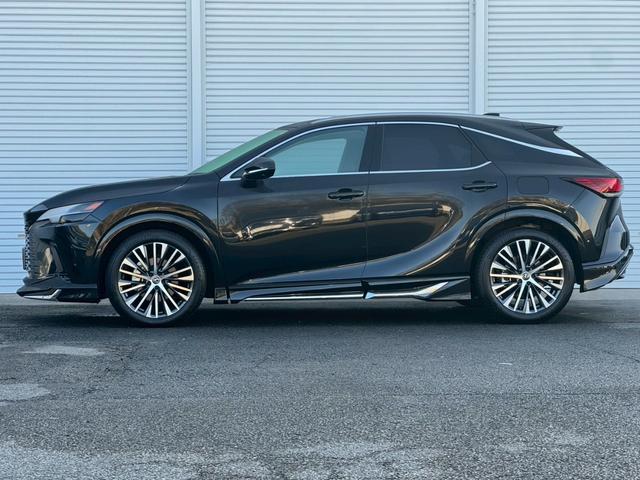 �[�Ԍ���C�����悭����蒸���܂��I�I