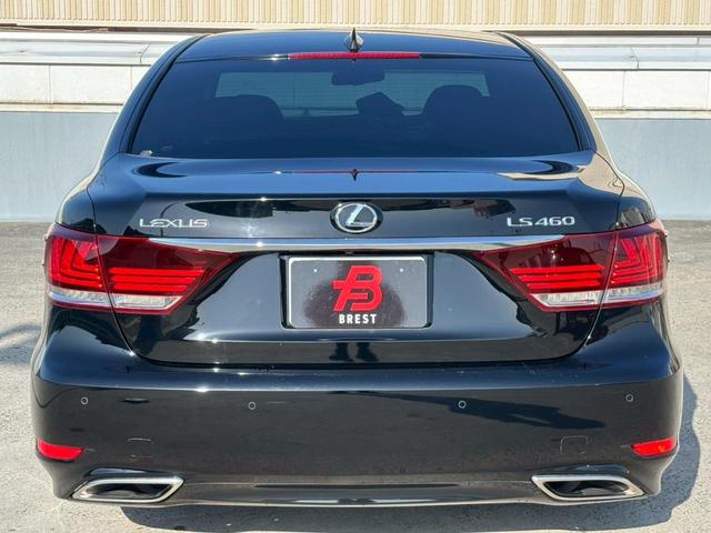 �[�Ԍ���C�����悭����蒸���܂��I�I