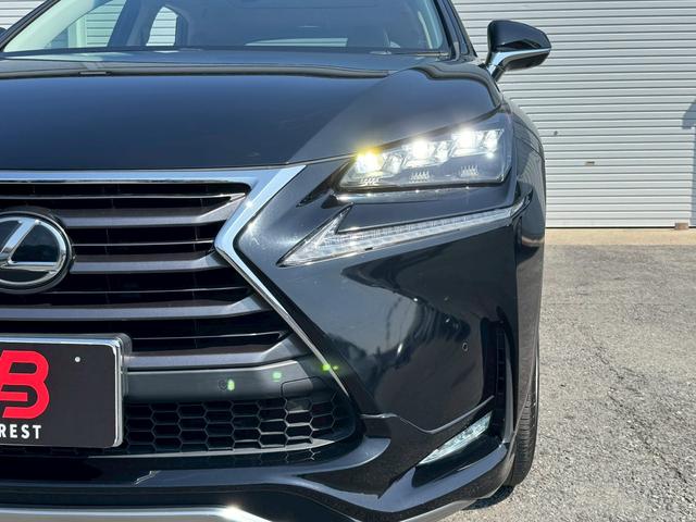 �����x�A���Ԃ��䗗���������B