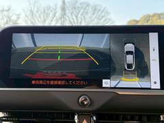 �������̷���˥����ۥ���ޤ������鸫�������Ƥ��뤫�Τ褦�ˡ�ľ��Ū�˼��Ϥξ������İ��Ǥ��������̷���˥������������Ǥ���֤Ǥ���Ϥ������ǳ�ǧ�Ǥ��ޤ��� 5