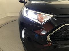 �̣ţĥإåɥ饤�ȤǤ����ǥ����������褯�ȤƤ����뤤�Τǡ���֤����Ԥ䰭ŷ���Ǥ�¿��Ǥ���������Ĺ��̿�� 6