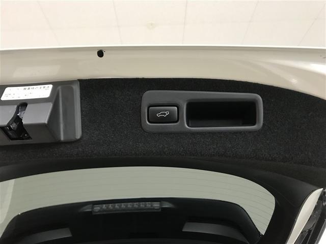 ハリアー プレミアム　アドバンスドパッケージ　ナビ＆ＴＶ　バックカメラ　キーレス　スマートキー　ワンオーナー　安全装備　衝突被害軽減システム　オートクルーズコントロール　フル装備（23枚目）