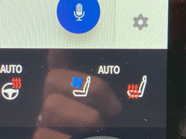 アルファードハイブリッド Z モデリスタエアロ クールシャインキット 左右独立ガラスルーフ 両側ユニバーサルステップ 前後ドラレコ 後席モニター ナビ地デジ 全方位カメラ デジタルインナーミラー ETC パワーサイドサンシェード(37枚目)