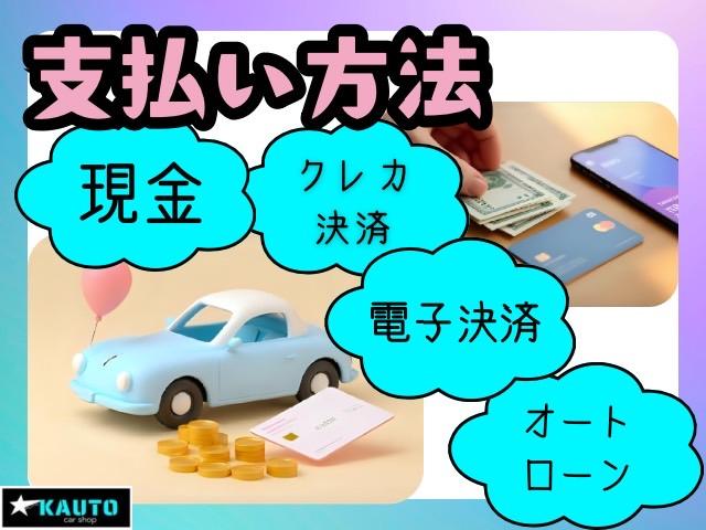 ギャランフォルティススポーツバック スポーツ バックカメラ MTモード パドルシフト 純正18インチアルミホイール キーレス ステアリモコン オートエアコン HIDヘッドライト 純正ナビ スペアキー 取扱説明書 フォグライト CD・DVD再生(29枚目)