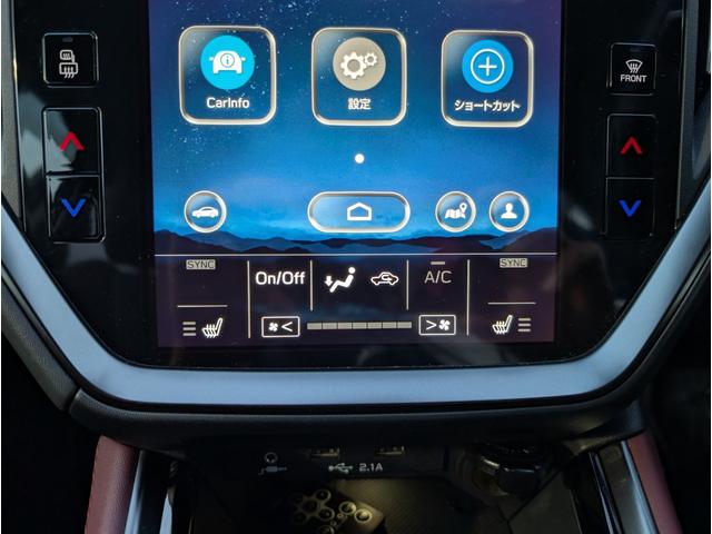 �V�[�g�q�[�^�[���ڂœ~������������