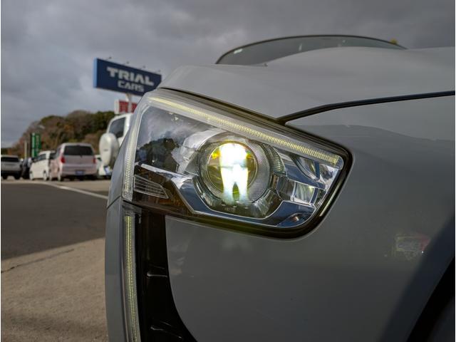 �k�d�c�w�b�h���C�g�t���Ŗ铹�����邭�Ƃ炵�Ă���܂���