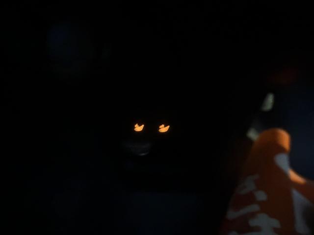 ハスラー ハイブリッドＧ　クリアランスソナー　オートクルーズコントロール　レーンアシスト　衝突被害軽減システム　オートライト　ＬＥＤヘッドランプ　スマートキー　アイドリングストップ　電動格納ミラー　ＣＶＴ　盗難防止システム（21枚目）