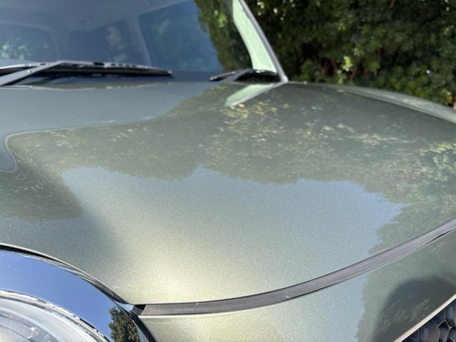 ��������L���C�ł��I