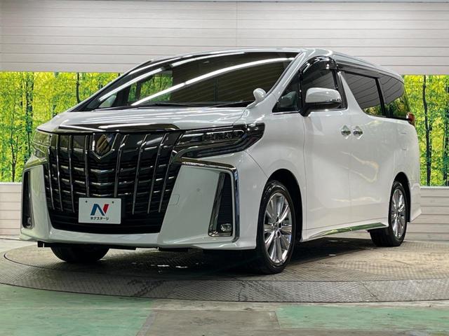 ２．５Ｓ　タイプゴールド　禁煙車　純正９型ナビＴＶ　純正１２型フリップダウンモニター　バックモニター　デジタルインナーミラー／ＢＳＭ　ＩＣＳ　両側電動スライドドア　パワーバックドア　３眼ＬＥＤヘッド　ＤＶＤ・ＣＤキット(58枚目)