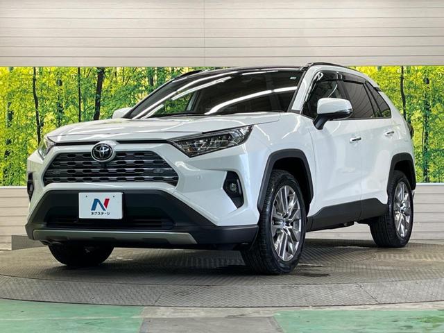 ＲＡＶ４ Ｇ　Ｚパッケージ　パノラマムーンルーフ　純正９型ナビフルセグ　パノラミックビュー　デジタルインナーミラー　ＢＳＭ　セーフティセンス　レーダークルーズ　シートベンチレーション　シートメモリー　パワーバックドア　ＥＴＣ（58枚目）