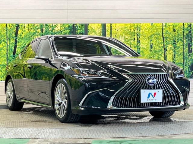 ＥＳ ＥＳ３００ｈ　バージョンＬ　禁煙車　サンルーフ　三眼ＬＥＤ　純正１２．３型ナビＴＶ　パノラミックビューモニタ　黒革　デジタルアウターミラー　ブラインドスポットモニタ　前後席パワーシート／シートヒータ　前席シートベンチレーション（17枚目）