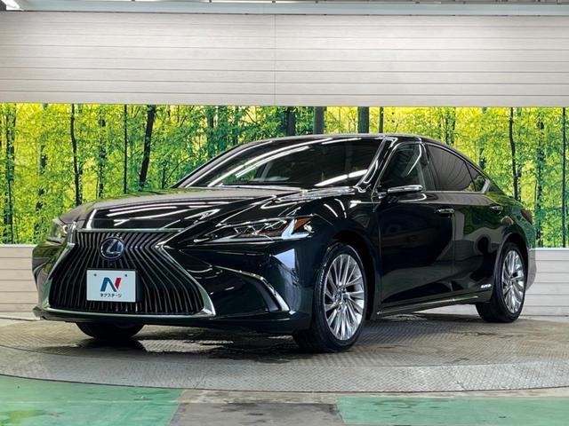 ＥＳ ＥＳ３００ｈ　バージョンＬ　禁煙車　サンルーフ　三眼ＬＥＤ　純正１２．３型ナビＴＶ　パノラミックビューモニタ　黒革　デジタルアウターミラー　ブラインドスポットモニタ　前後席パワーシート／シートヒータ　前席シートベンチレーション（25枚目）
